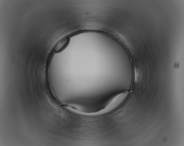 X0000092260531200710121341