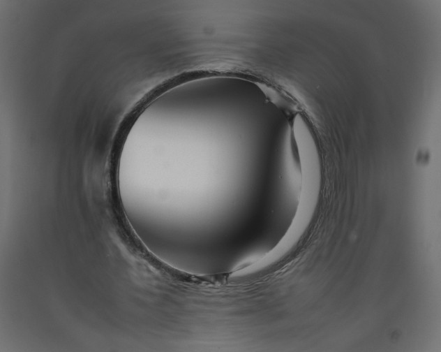 X0000092260532200710121341