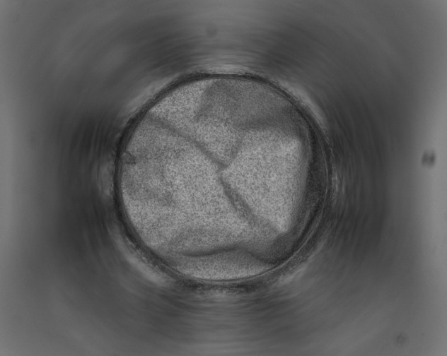 X0000092260533200710121341