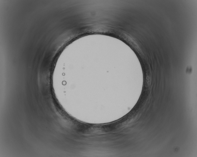 X0000092260534200710121341