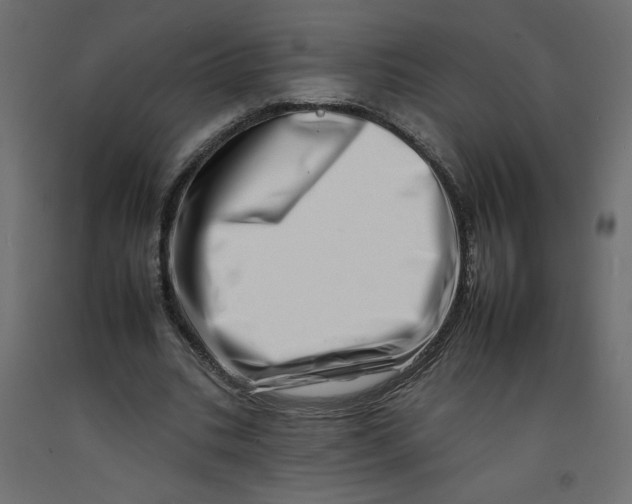 X0000092260535200710121341