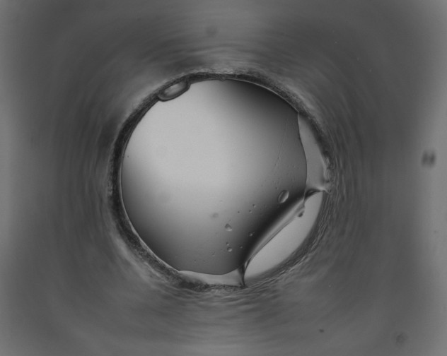 X0000092260536200710121341