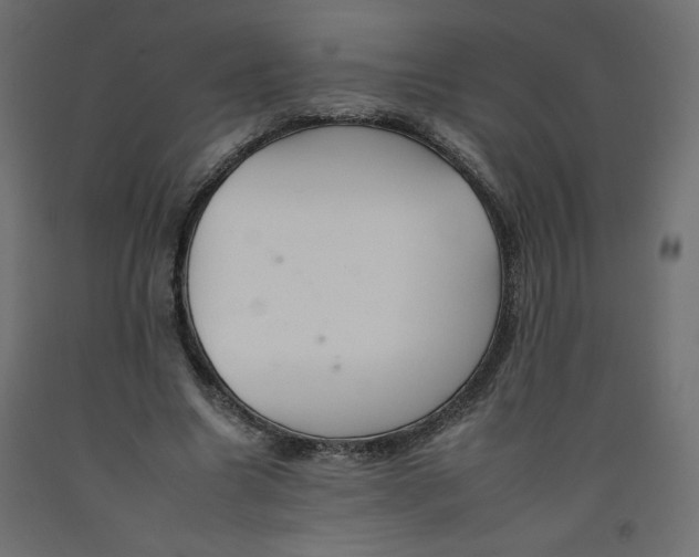 X0000092260538200710121341