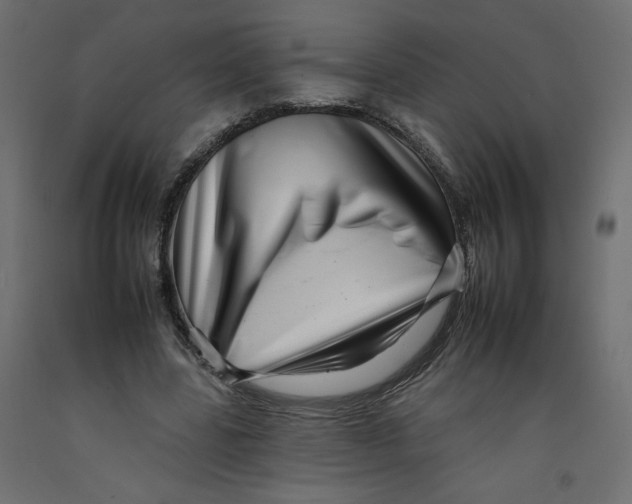 X0000092260539200710121341