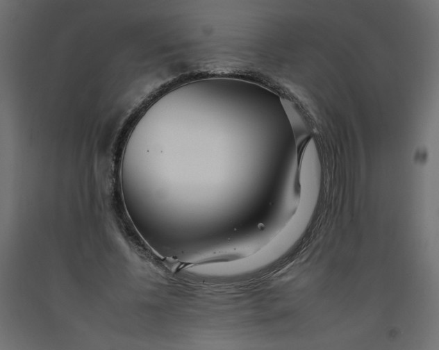 X0000092260540200710121341