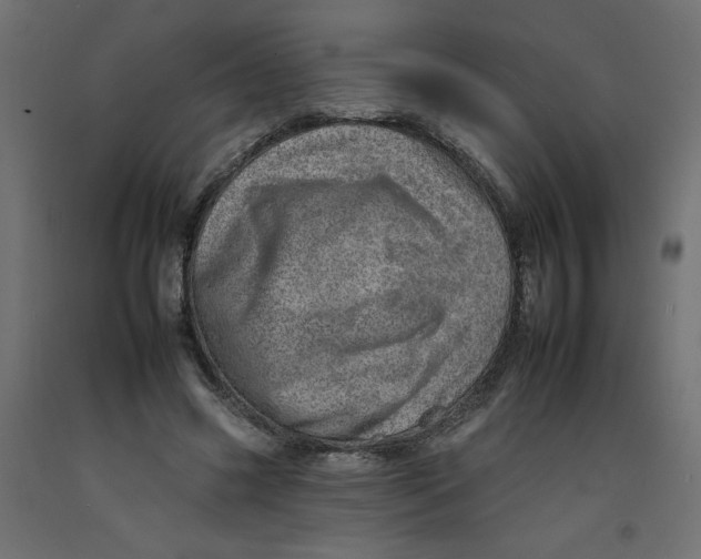 X0000092260541200710121341