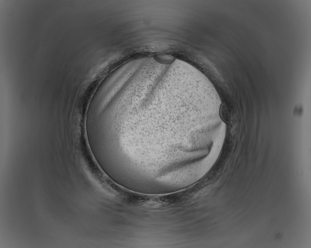 X0000092260542200710121341