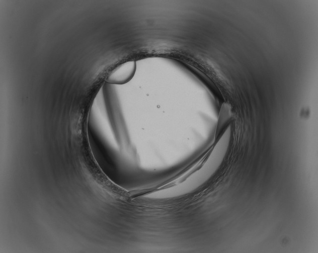 X0000092260543200710121341