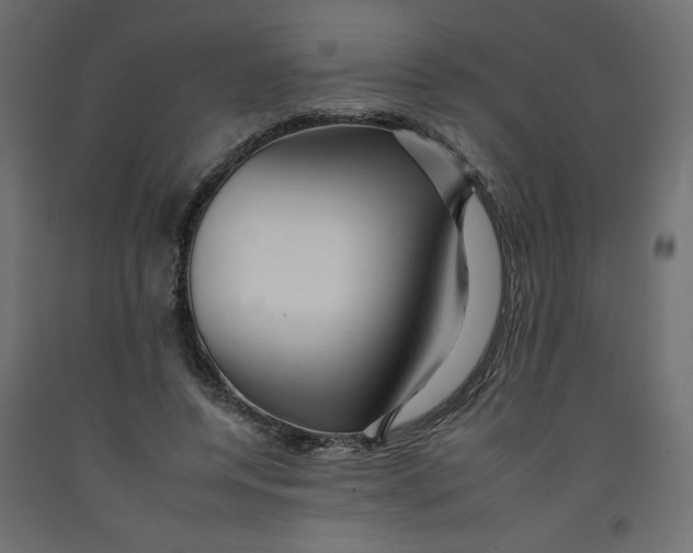 X0000092260544200710121341