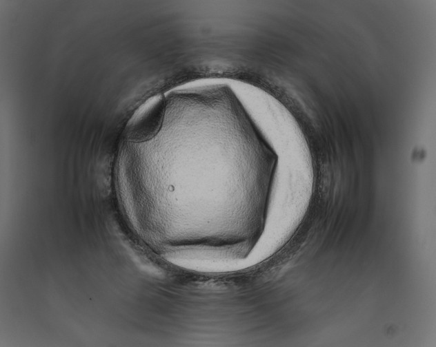 X0000092260545200710121341