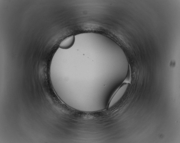 X0000092260547200710121341