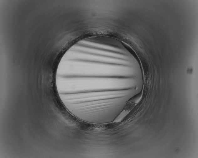 X0000092260548200710121341