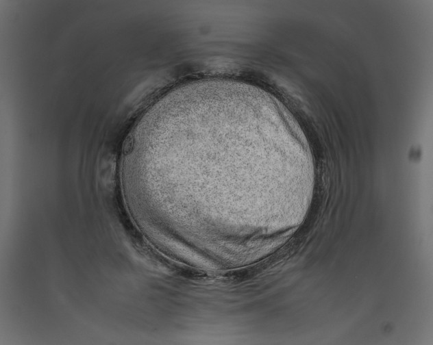 X0000092260550200710121341