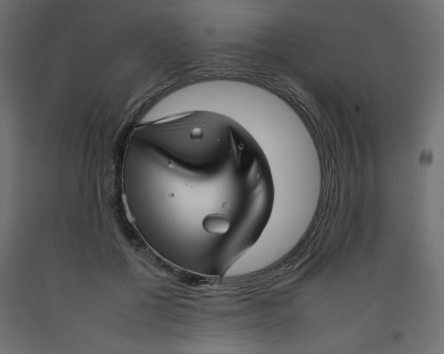 X0000092260552200710121341