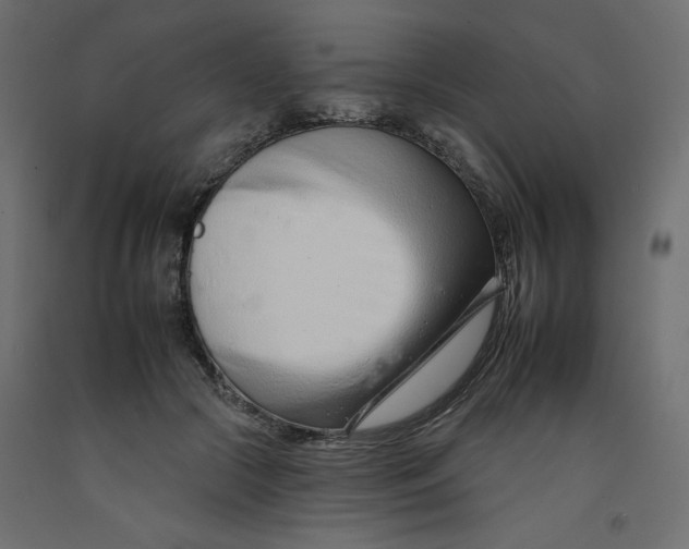 X0000092260553200710121342