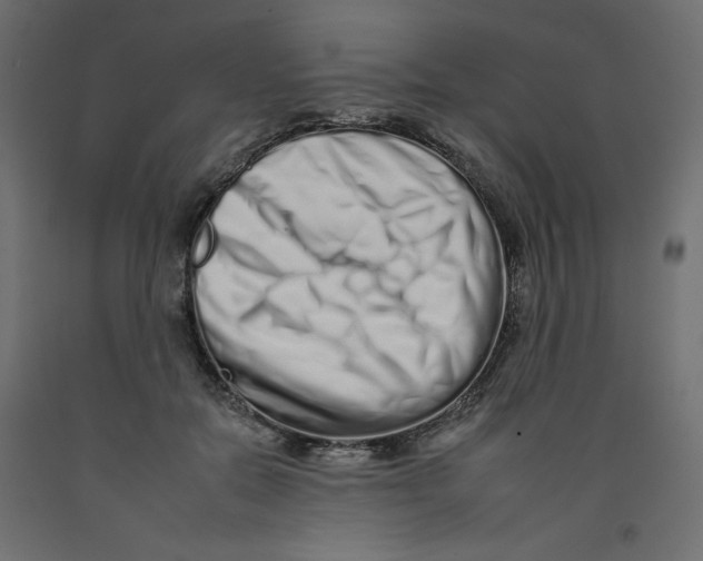 X0000092260554200710121342