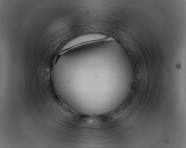 X0000092260555200710121342