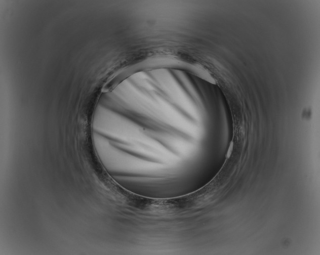 X0000092260556200710121342