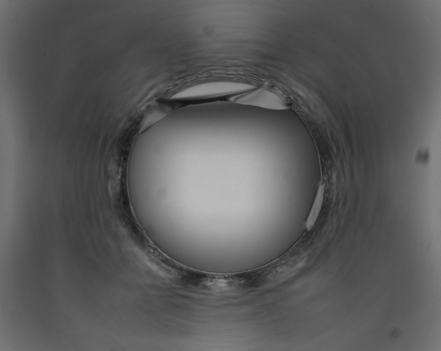 X0000092260558200710121342