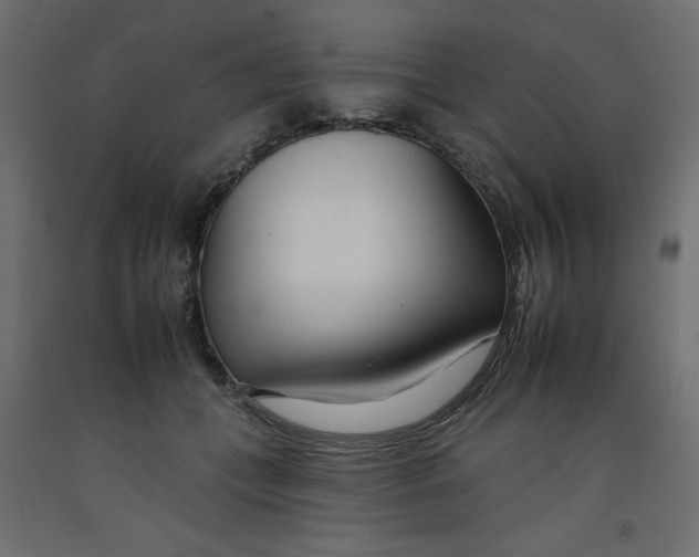 X0000092260559200710121342