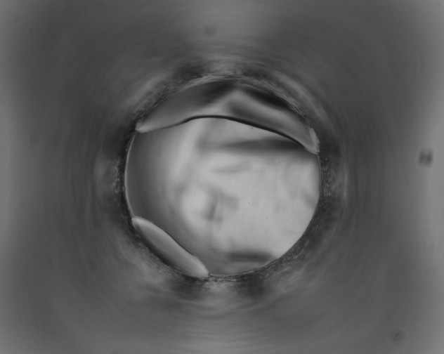 X0000092260560200710121342