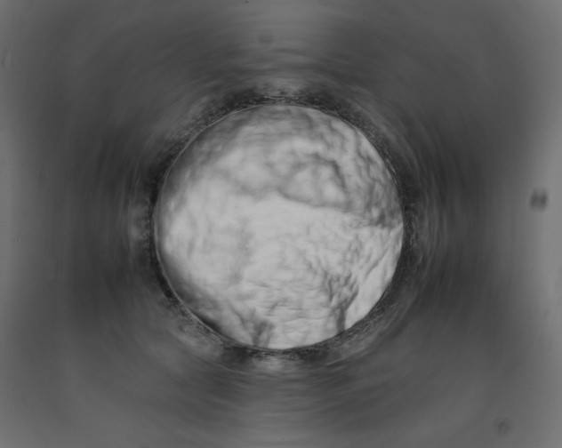 X0000092260561200710121342