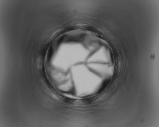 X0000092260562200710121342