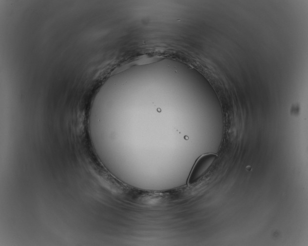 X0000092260563200710121342