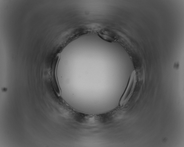 X0000092260564200710121342