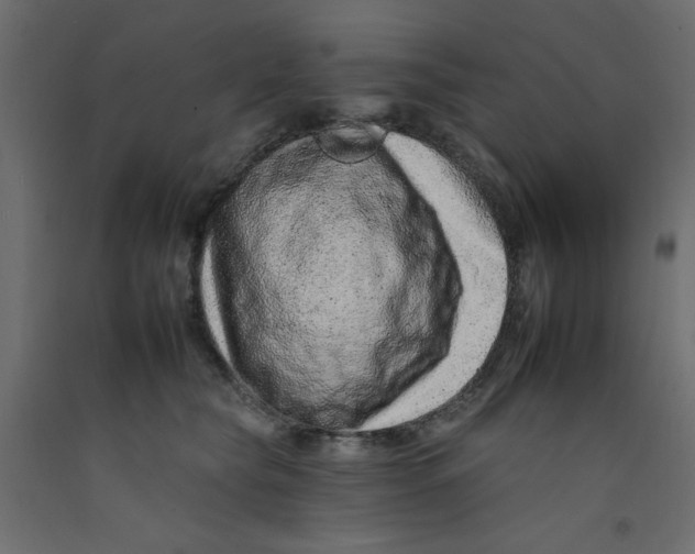 X0000092260565200710121342