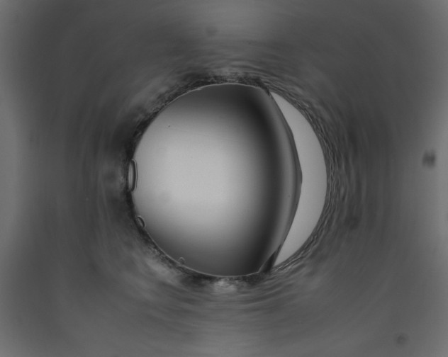 X0000092260566200710121342