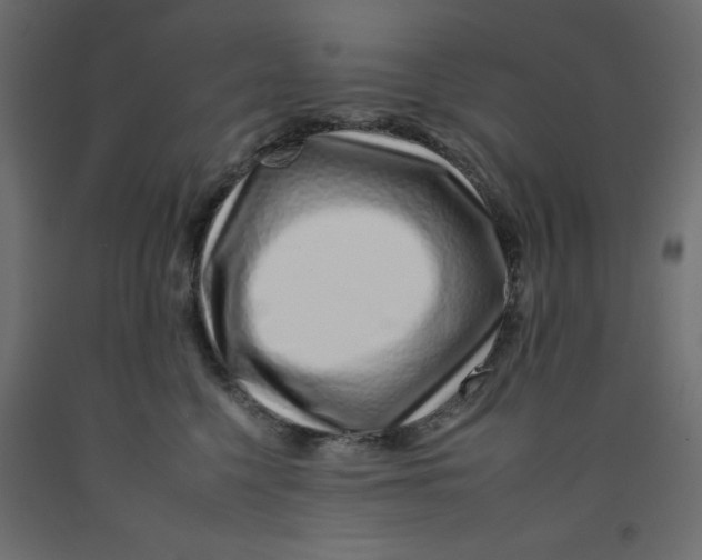 X0000092260568200710121342