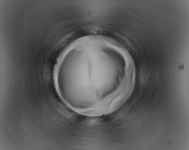 X0000092260569200710121342