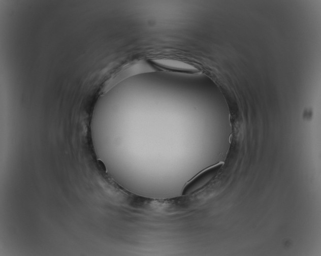 X0000092260570200710121342