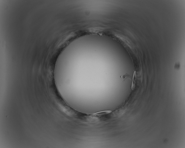 X0000092260572200710121342