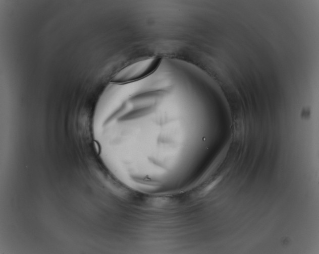 X0000092260575200710121342