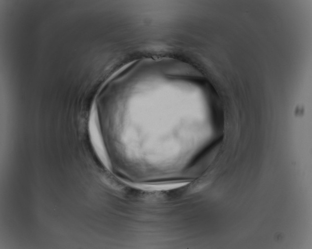 X0000092260576200710121342