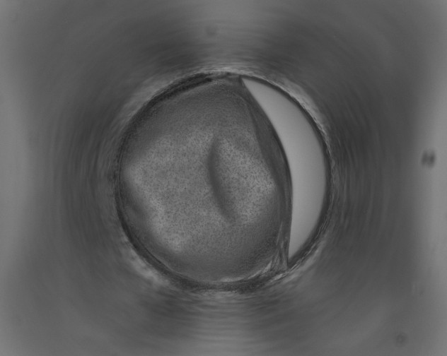 X0000092260577200710121341