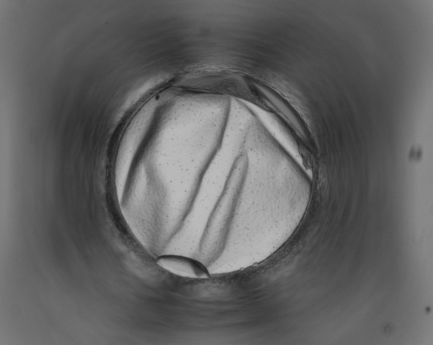 X0000092260578200710121341