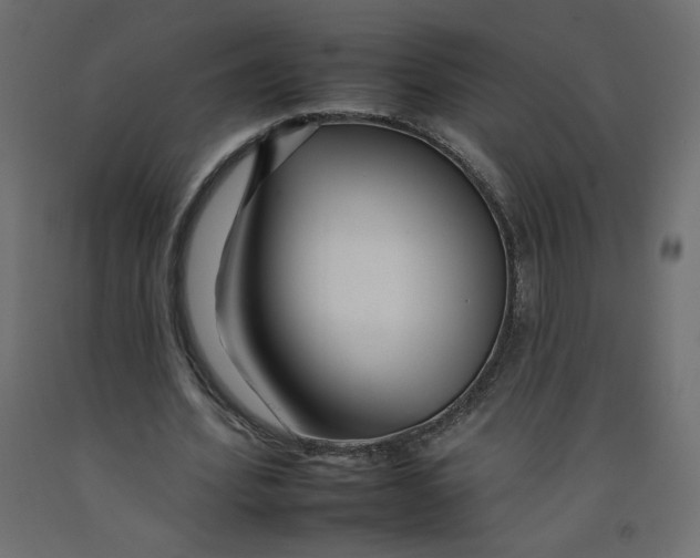 X0000092260580200710121341