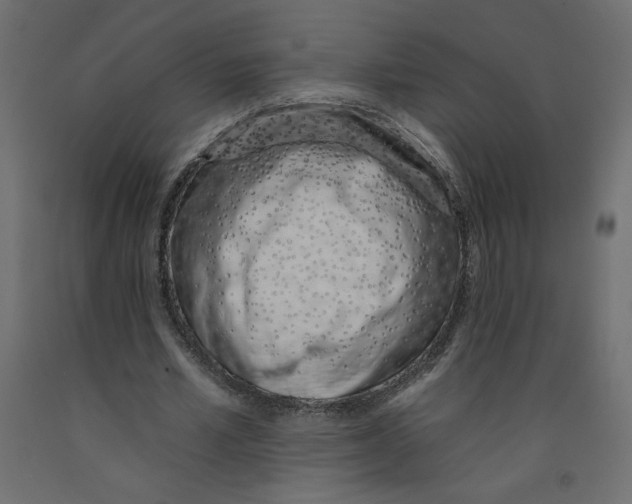 X0000092260581200710121341