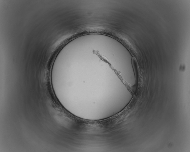 X0000092260583200710121341