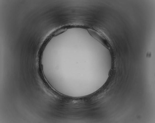 X0000092260584200710121341