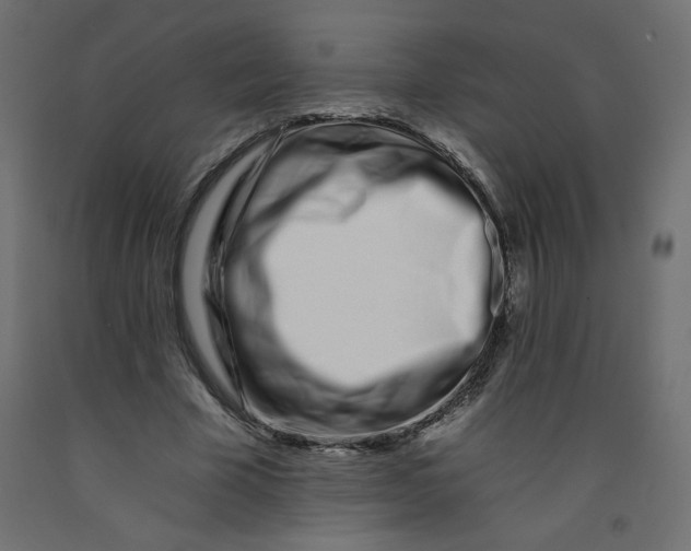 X0000092260585200710121341