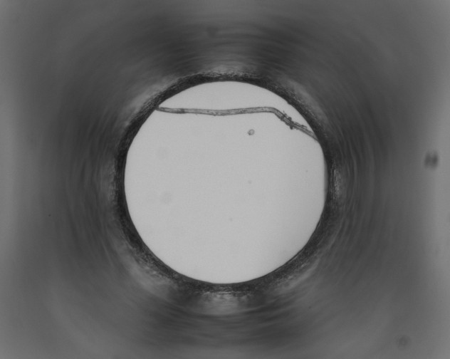 X0000092260588200710121341