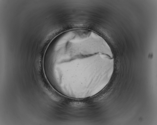 X0000092260590200710121341