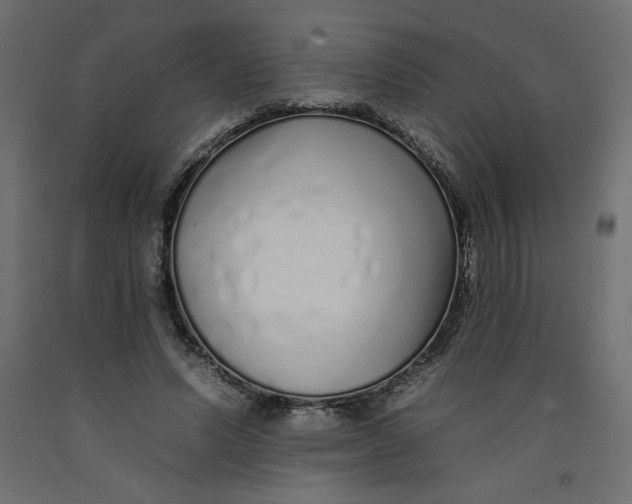 X0000092260591200710121341