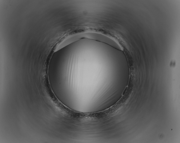 X0000092260593200710121341