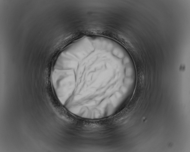 X0000092260594200710121341