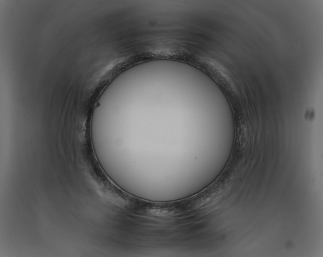 X0000092260596200710121341